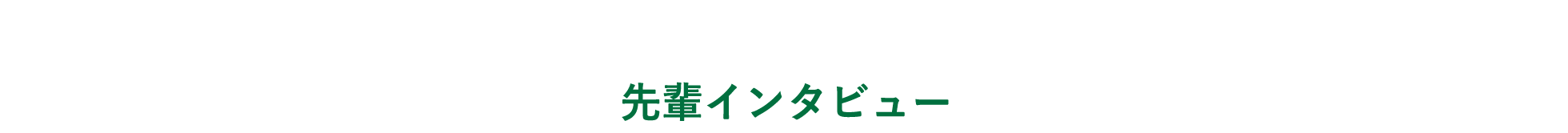 先輩インタビュー